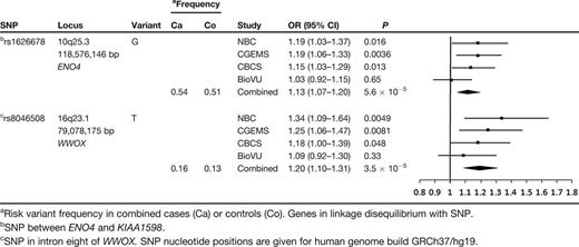 Novel loci associated with breast cancer risk