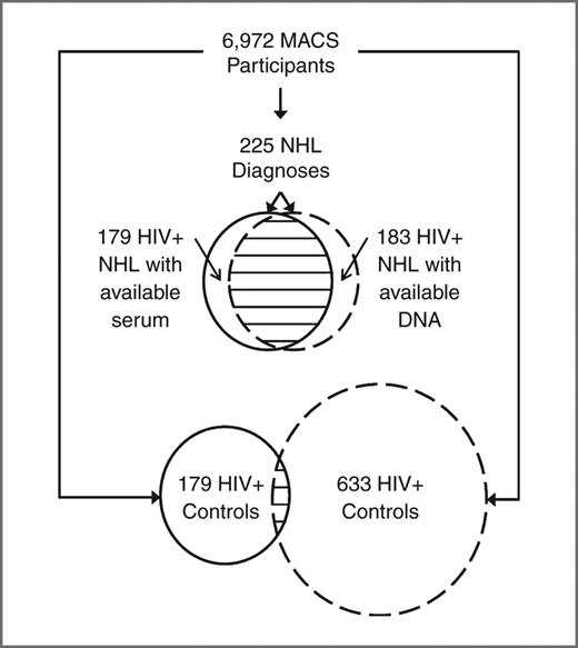 Figure 1. Number of cases and controls and overlap between studies. Among the 6,972 participants in the Multicenter AIDS Cohort Study (MACS), 225 have been diagnosed with B-cell non-Hodgkin lymphoma (NHL), 179 of whom had available serum and were included in the serum marker association study (top circle with solid line), and 183 of whom had available DNA and were included in the genetic association study (top circle with hashed line); 172 cases were included in both studies. For controls, 179 HIV-infected participants were selected for the serum association study (bottom circle with solid line) and 633 HIV-infected controls were selected for the genetic association study (bottom circle with hashed line); 50 controls were included in both studies.
