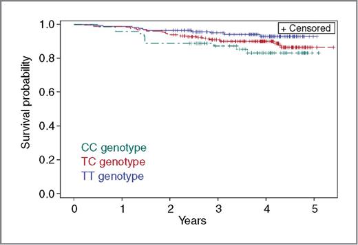 Figure 1. Product-limit survival estimates for patients with breast cancer homozygous for the rare allele of rs731236 (CC genotype), heterozygous (TC genotype), and homozygous for the common allele (TT genotype).