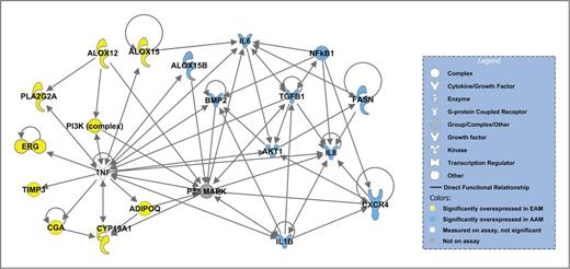 Figure 1. Functional Interaction Network from analysis of genes upregulated in prostate tumors from AAM or EAM. The network derived from Ingenuity Pathways analysis shows a high degree of inherent, functional interrelatedness for a subset of factors from the analyzed gene expression datasets (AAM blue, EAM yellow). Results suggest that AAM and EAM prostate tumors are distinguished at gene level with NFKB and inflammatory cytokine factors primarily upregulated in PCa from AAM; EAM-upregulated genes are centered on TNF. Edges (lines) linking members of both sets to P38MAPK, TNF, and PI3K/AKT genes suggests that the associated pathways are operating to some extent in both EAM and AAM contexts.