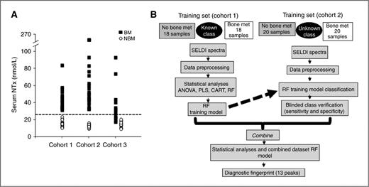 Figure 1. Cohort-specific bone resorption markers and workflow diagram for SELDI-TOF MS analysis and. A, serum NTx levels in all patients with breast cancer with bone metastasis (BM) (closed squares) and no bone metastasis (NBM) (open circles). Cohorts 1 and 2 show clear discrimination of NTx levels around the cutoff of 25 nmol/L NTx. Cohort 3 shows the overlap of serum NTx common to breast cancer patients. Dashed line indicates the 25 nmol/L cutoff that defines low versus elevated bone resorption. B, an initial test set of 36 samples with known class was obtained and spectra generated. The data were preprocessed, subjected to statistical analysis and a random forest (RF) training model for classification generated. A second set of 41 samples of unknown class were obtained 1 year later and spectra obtained and data analyzed in an identical fashion to the training set. The test set samples were then classified into respective groups based on the random forest training model derived from the training set (dashed arrow). Class identity was verified independently and sensitivity and specificity determined. All the samples were then combined (solid arrow) and analyzed to generate a new combined random forest model and overall diagnostic fingerprint.