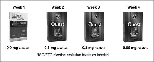 Figure 1. Study protocol.