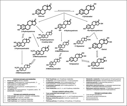 Figure 1. Endogenous estrogen metabolism pathways and list of estrogens, estrogen metabolites, and hormone ratios explored.