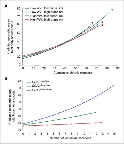 Figure 1. Interactions that predict geometric mean total body nevus counts in 6- to 10-year-old children as determined by the linear mixed model analysis presented in Table 1. A, cumulative hours of chronic exposure interact with cumulative numbers of water vacations and sunburns to predict geometric mean total body nevus counts in the study period. Low and high water vacations and sunburns are used to depict the relationships between these variables in predicting nevus counts. The terms Low and High refer to the 33rd and 66th percentile levels of both cumulative centered sunburns (−1.2 and 0.79) and cumulative centered waterside vacations (−0.88 and 0.12). Exponentiated simple slope estimates and 95% confidence intervals for the effects plotted for each represented exposure group are in Supplementary Table S6. B, the OCA2/HERC2 rs12913832 SNP interacts with water vacations to predict geometric mean total body nevus counts. The two-way association between rs12913832 and water vacations is observed in subjects who experience an average level of sunburns (1.88) and chronic exposure (18.25) for the study period. Exponentiated simple slope estimates and 95% confidence intervals for the plotted OCA2 genotypes are in Supplementary Table S7.