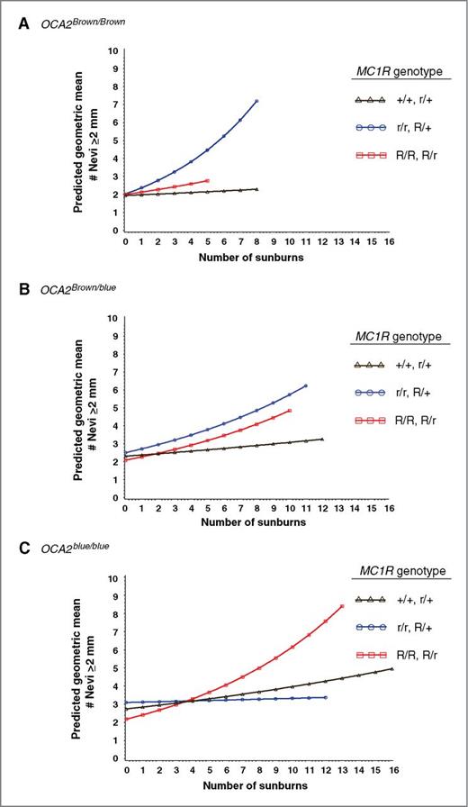 Figure 2. Three-way interaction that predicts geometric mean nevus counts ≥2 mm in 6- to 10-year-old children as determined by the linear mixed model analysis of longitudinal data presented in Table 2. A–C, a three-way interaction with cumulative number of sunburns (x-axis) predicts nevus counts in children from each combination of OCA2Brown and OCA2blue alleles together with each MC1R genotype grouping. Nevus counts were only plotted where actual sunburn data were available within each genotype group. Exponentiated simple slope estimates and 95% confidence intervals for each plotted MC1R and OCA2 genotype group are shown in Supplementary Table S8.