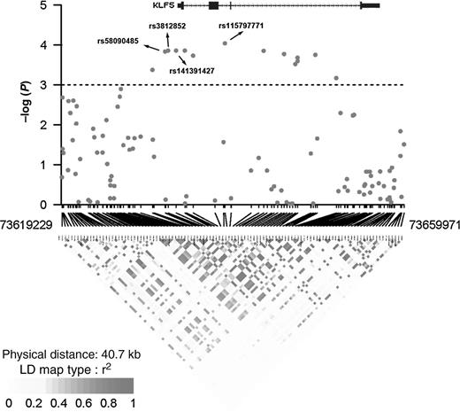 Figure 1. Regional plot of the association results between variants in the KLF5 region and risk of ESCC. The −log10 P values of 110 SNPs were assessed using an additive model in unconditional logistic regression analysis with adjustment for age, sex, smoking status, and drinking status in 2,031 cases with ESCC and 2,044 controls in the discovery stage. The 14 SNPs with P < 0.001 are above the black horizontal line and the smallest P value of rs115797771 is 9.17 × 10−5. The LD plot was based on the genotypes after the imputation in the discovery stage.