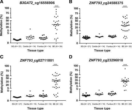 Figure 2. The majority of Barrett's esophagus (BE) samples have higher levels of methylated B3GAT2 (cg16556906) and ZNF793 (cg24588375, cg02711801, and cg23296010) compared with control epithelial tissue, including normal esophagus (SQ) and stomach (cardia and fundus). Results of pyrosequencing assays for methylated B3GAT2 and ZNF793 run on an independent validation set of tissue samples (“Tissue Type”). Pyrosequencing assay results for CpG sites that are differentially methylated in the majority of BE compared with normal SQ and normal gastric epithelium (cardia and fundus) are shown for (A) cg16556906, located in B3GAT2; (B) cg24588375, located in ZNF793; (C) cg02711801, located in ZNF793; and (D) cg23296010, located in ZNF793. Horizontal bars indicate the median of each sample group (***, BE vs. SQ, cardia, fundus, or all control tissues, P < 0.0001, determined by a two-tailed Wicoxon–Mann–Whitney test).
