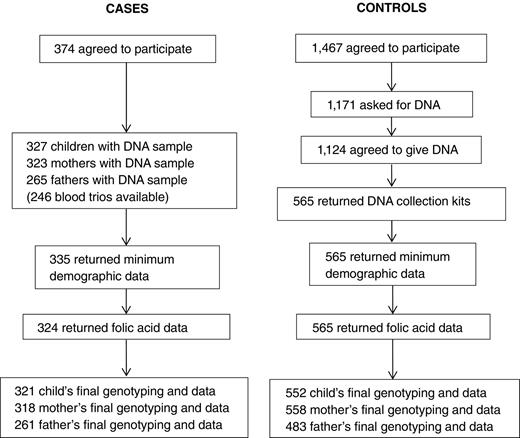 Figure 1. Flowchart of data collection for folate pathway analysis in the Australian Study of the Causes of Childhood Brain Tumors (Aus-CBT).