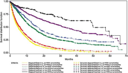 Figure 1. Survival by stage and comorbidities. As expected, patients with early-stage lung cancer tend to have better survival compared with later stage. Within each stage, patients with comorbidity appear to have poorer survival.