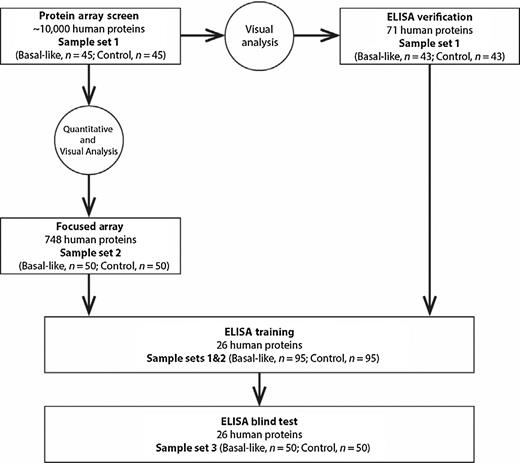 Figure 1. Overview of study design.