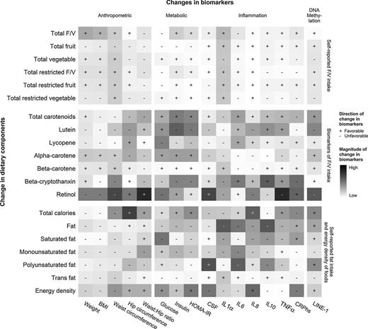 Figure 1. Heatmap of associations between changes in dietary components and changes in anthropometric, metabolic, inflammatory, and DNA methylation markers. Each pixel represents the percentage of change in cancer-related biomarkers on the x-axis associated with every 10% change in dietary factors on the y-axis, adjusted for the baseline value of the dietary factor of interest, randomization arm, and stratification. These estimated changes in cancer-related biomarkers were labeled as “+” if the change is in a favorable direction that reflects improvements in biomarkers, or “−” if otherwise. The darkness of color represents the magnitude of the percentage of changes in cancer-related biomarkers. Our results showed that increases in fruit/vegetable intake were generally beneficial as measured by these cancer-related biomarkers, whereas increases in dietary fat generally led to unfavorable changes.