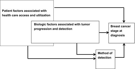 Figure 1. Breast cancer stage at diagnosis: conceptual framework.