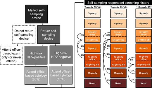 Figure 1. Self-sampling (SS) strategy flow chart and the alternative assumptions for participation and compliance (i.e., Scenario A and Scenario B). Scenario A assumed that respondents to self-sampling had moderate under-screening histories (i.e., screened every 8 or 10 years in the absence of self-sampling), while Scenario B assumed that respondents to self-sampling included women with moderate and severe under-screening histories (i.e., screened every 8, 10, 20 years or never-screened). For this scenario, we assumed there was a gradient of response related to screening history; that is, women with more severe screening histories were less likely to respond compared with women with moderate screening histories. Flow chart reflects primary data from the SESAM-1 (SElf-SAMpling-1) pilot trial conducted in Norway (5).