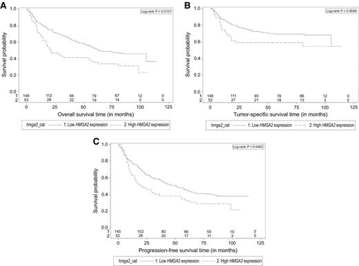 Figure 1. Kaplan–Meier survival curve: overall (A), tumor-specific (B), and progression-free (C) survival (all tumor sites combined).