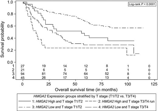 Figure 2. Kaplan–Meier survival curve: overall survival (all tumor sites combined, stratified by HMGA2 expression level and T stage).