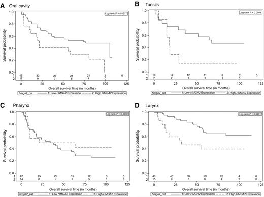 Figure 3. Kaplan–Meier survival curve: overall survival (stratified by tumor site): A, Oral cavity; B, Tonsils; C, Pharynx; D, Larynx.