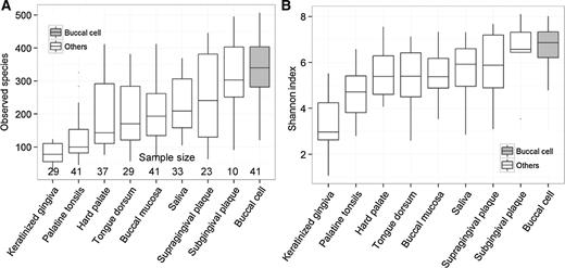 Figure 1. Comparison of alpha diversity measures number of observed species per sample (A) and Shannon index (B) between buccal cell and 8 other oral sample types. The sample size for each sample type was shown at the bottom of each bar. The sample types were ordered by average number of observed species. Boxes, interquartile range (IQR); median values, bands within the boxes; lines outside the boxes, 1.5 times IQR; dots, outliers.