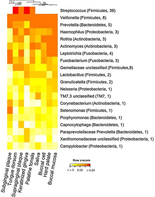Figure 3. The dendrogram and heatmap for comparison and visualization of taxonomic profiles among 9 oral sample types. Top, dendrogram shows similarity by sample types based on Bray–Curtis distance of species-level profiles; bootstrap statistics (>70%) indicated the proportion of bootstrap samples in which a given subcluster is identified. Right legend, genus names with their associated phylum names and average relative abundance (%) in the parenthesis. Only the genera with minimum relative abundance 1% were shown. The colors show differences among samples by each genus (row).