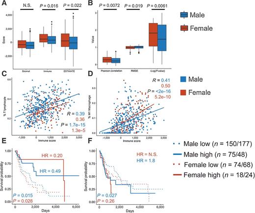 Figure 5. CIBERSORT and ESTIMATE analyses of TCGA RNA-sequencing data of HNSCC reveal higher immune activity in female bulk tumor samples. All patients in the TCGA's Head and Neck Squamous Cell Carcinoma cohort (n = 520) were analyzed by ESTIMATE and CIBERSORT. A and B, ESTIMATE score, immune score, and stromal score (A) and CIBERSORT minus log-transformed P values, Pearson correlations, and RMSE (B) were compared between males and females. Comparison between male and female means was done by the Welch t test. C and D, CIBERSORT T lymphocyte count (C) and M1 macrophage count (D) were plotted with ESTIMATE Immune score, showing a positive association between increased percentage of these cell types and overall tumor infiltration. Statistics were computed by Pearson correlation test. E and F, KM curves were generated to test the association between OS and each of CIBERSORT T lymphocyte (E) and granulocyte relative count (F). Groups were split by sex, and an optimal cutoff point was determined by computing the maximally selected rank statistics. HRs were computed by the log-rank test between high and low groups of each sex. N.S., not significant. Cohort sizes are shown as T lymphocyte/granulocyte. The χ2 test confirmed homogeneity for both T-lymphocyte and granulocyte counts (with α = 0.01).