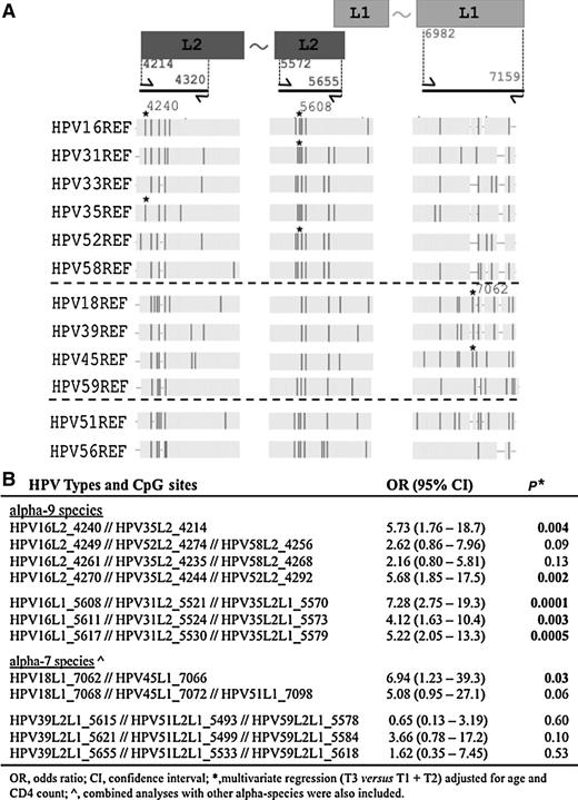 Figure 2. Multiple HPV sequence alignment to identify and test homologous CpG sites associated with cervical precancer. A shows a schematic of the L1 and L2 genes (not to scale) at the top right and top left, respectively. The PCR amplicons of bisulfite-treated DNA are shown below the rectangles as thick black lines. The flanking arrows represent forward and reverse primers with the 5′ positions of the primers indicated between the rectangular boxes and the corresponding arrows. The two amplicons within the L2 region use HPV16 nucleotide positions; the amplicon region within the L1 gene corresponds to HPV18 nucleotide positions. The tilde between the rectangles indicates continuity of the gene. The vertical dark bars indicate the location of individual CpG sites for the HR-HPV types shown to the left of the figure. The asterisk (*) marks CpG sites (e.g., nucleotide positions 4240 and 5608 for HPV16, and 7062 for HPV18) listed in B with the highest significant OR. Alpha species groups are separated by dashed lines, i.e., alpha-9, alpha-7, and alpha-5/alpha-6 from top to bottom. B, Combinations of homologous CpG sites analyzed for association with cervix precancer. The ORs were calculated by dichotomizing the CpG methylation levels into high or low based on the top tertile (T3) compared with the lower tertiles (T1 and T2). The tertiles were determined for each HPV type and CpG site separately: the methylation of the controls for the HPV type at the CpG site was used to select the cutoff values, which were then used to define the tertiles for the HPV type at the corresponding CpG site. The data for the HPV types and CpG sites within the homologous CpG sites were combined and the GEE (generalized estimating equation) models were adjusted for age and CD4 count to calculate the ORs, 95% confidence interval and P values.