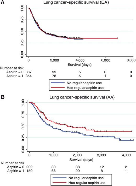 Figure 1. Kaplan–Meier curves showing the relationship between aspirin use and lung cancer–specific survival. A, The relationship among EA. B, The relationship in AA.