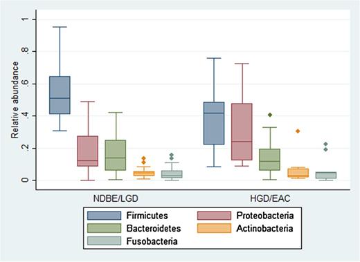 Figure 1. Relative abundance of the major phyla comparing subjects with no dysplasia or LGD with those with HGD or esophageal adenocarcinoma (EAC). Compared with NDBE/LGD subjects, those with HGD or EAC had decreased Firmicutes (P = 0.04) and increased Proteobacteria (P = 0.04).