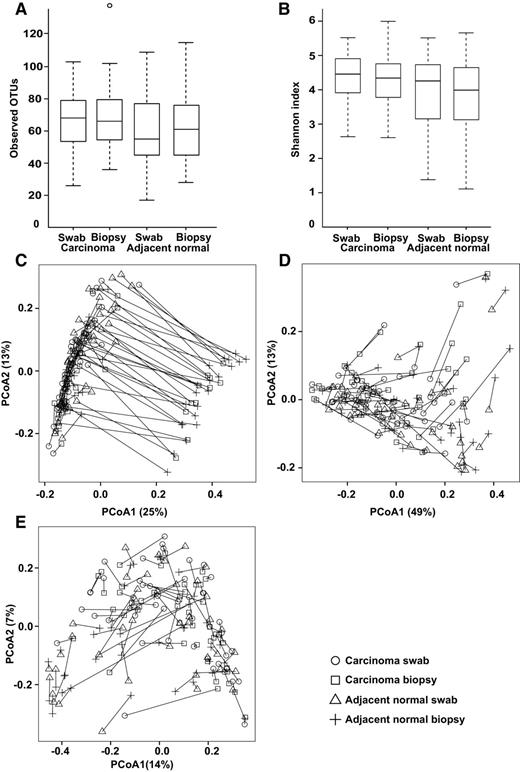 Figure 1. Microbial diversity in ESCC specimens. Alpha diversity of observed OTUs (A) and the Shannon index (B). Paired specimen principal coordinate analysis plot based on unweighted UniFrac (C), weighted UniFrac (D), and the Bray–Curtis distance (E) from all ESCC specimens. Samples from the same participant and tissue location are connected with a line. PCoA, principal coordinates analysis.