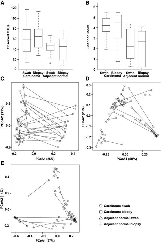 Figure 2. Microbial diversity in GCA specimens. Alpha diversity of observed OTUs (A) and the Shannon index (B). Paired specimen principal coordinate analysis plot based on unweighted UniFrac (C), weighted UniFrac (D), and the Bray–Curtis distance (E) from all GCA specimens. Samples from the same participant and tissue location are connected with a line. PCoA, principal coordinates analysis.