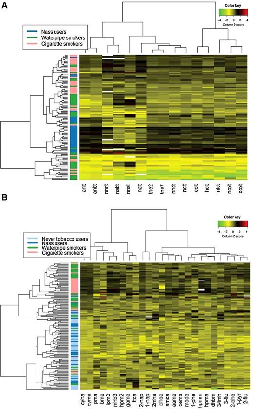 Figure 1. Heat maps of A, nicotine metabolites, other tobacco alkaloids, and nitrosamines; B, biomarkers of PAHs and VOCs among different study groups. Each row shows biomarker concentrations in one individual, and the colors represent the concentrations standardized for each biomarker (z scores shown in the Color Key).