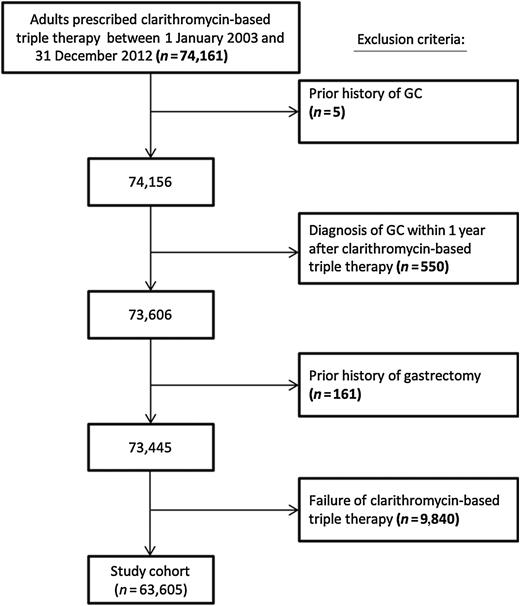 Figure 1. Patient selection flow diagram. GC, gastric cancer.