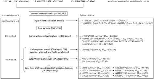 Figure 1. Project flow chart summarizing analyses and key results. A total of 142,390 polymorphic variants in 5,293 samples (2,327 colorectal cancer cases and 2,966 controls) were analyzed. The associations between common and rare variants and the risk of colorectal cancer were estimated through the likelihood ratio tests. A meta-analysis of the study-specific test statistics revealed strong associations between colorectal cancer and rs139401613 in ST6GALNAC2 (meta P = 1.01 × 10–6), rs35467001 (meta P = 7.72 × 10–6; 3.9%), and rs34322745 (meta P = 5.16 × 10–5) in SDK2. Only rare variants (MAF < 1%) were retained for gene- and pathway-level analyses. A summary BF was computed as the product of the three study-specific BFs from the BRI method. The top associated gene was ST6GALNAC2 (summary BFBRI = 2,604.23) followed by OSTM1, COL22A1, EPHA7, TTC28, SPTBN5, FSIP1, AKR1D1, NOTCH3, C6orf120, OR11H4, NAT1, EVI2B, CENPQ, SMPDL3A, CEP43, and GPC3 with summary BFBRI ranging from 104.43 to 948.28. The iBRI method was used to perform pathway-level analysis for DNA repair, TGFβ signaling, and vitamin D and folate metabolism. Given evidence of strong association with the DNA repair pathway (summary BFBRI = 17,852.4), we further investigated the likely subpathways, genes, and variants that are driving the association. At the subpathway level, extreme associations were found for NHEJ (summary BFiBRI = 437.85) and NER (summary BFiBRI = 36.96). The top associated gene was RPA2 (summary BFiBRI = 164.28), and the most likely associated variant in this gene was rs28988897 (summary BFiBRI = 657.56). Strong associations were also reported for PRKDC (summary BFiBRI = 109.77) [rs8178232 (summary BFiBRI = 17.68)], ERCC5 (summary BFiBRI = 65.52) [rs141369732 (summary BFiBRI = 6.39)], and ERCC8 (summary BFiBRI = 21.9) [rs201642761 (summary BFiBRI = 0.92)]. Abbreviations: ca, cases; co, controls; meta P = meta-analysis P value.