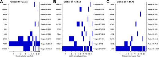 Figure 2. Top model inclusions for top DNA repair genes. Top 10 DNA repair genes included in the top 25 models identified using the iBRI approach in each study: KY (A), CCFR (B), and MECC (C). The top 10 genes ordered by iBRI BF are plotted on the left axis, and the respective iBRI BFs are reported on the right. The top 25 models ordered by posterior probability are plotted on the x-axis. Within the plot, each blue rectangle represents the inclusion of a gene within the respective model, and the width of each column is proportional to the posterior model probability. A gene is defined as being included in a model if at least one variant within the region was included in the model.