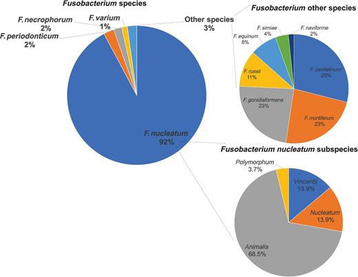 Figure 2. Percent of sequencing reads mapping to Fusobacterium species and subspecies. A total of 206 colorectal cancer tumors positive for F. nucleatum were used in the plots.
