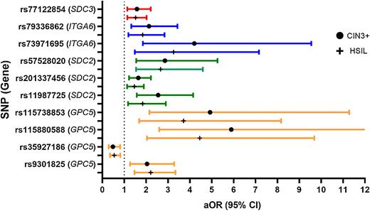 Figure 2. Forest plot showing the individual association (aOR and 95% CI) between genetic variants and both CIN3+ and HSIL as outcome endpoints for cervical precancer (adjusted for age, HIV sero-status, CD4 T-cell counts, and three principal components for genetic ancestry; SNPs with P value ≤ 0.01 are presented (before adjusting for multiple comparisons).