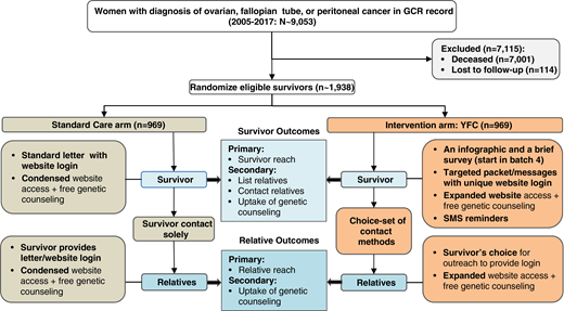 Intervention flow diagram. This diagram shows the process involved in the implementation of the intervention.