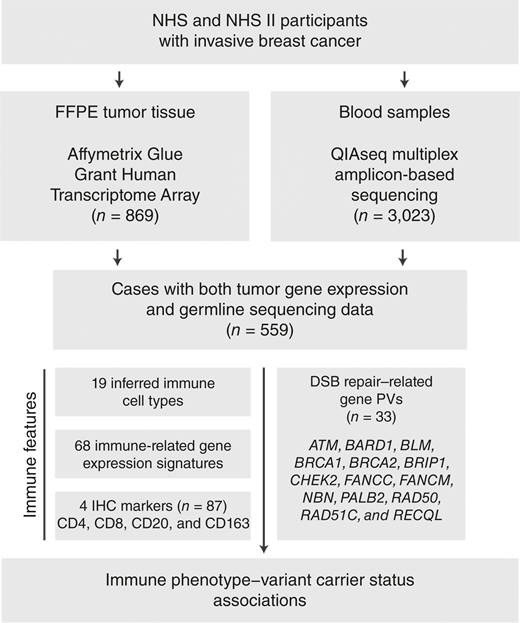 Study workflow for immune phenotype–PV carrier status analyses. This flowchart depicts the workflow for participant selection. Invasive breast cancer cases from NHS/NHSII with both FFPE-derived gene expression and germline sequencing data were considered for analysis (N = 559). Gene expression data were used to quantify abundance of 19 immune cell types and 68 immune-related gene expression signatures (87 immune features). A subset of tumors in the analysis group also had IHC quantification of specific immune cell markers available for analysis (N = 87).