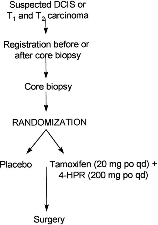 Fig. 1. Treatment protocol for suspected early-stage breast cancer patients randomized to a chemoprevention intervention consisting of either placebo or tamoxifen and 4-HPR.
