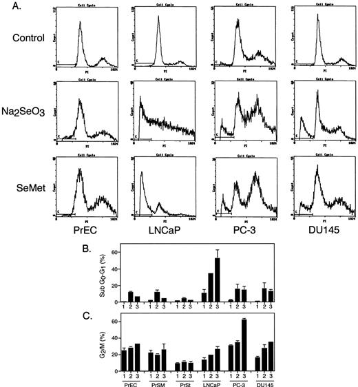 Fig. 3. Cell cycle analysis using PI intercalation into DNA was performed simultaneously with TUNEL-FACS assays. A, columns 1–4,representative examples of cell cycle profiles of PrEC, LNCaP, PC-3,and DU145 cells. Cells that occur at sub-G0-G1levels of the cell cycle represent dead or dying cells (designated by line C at the base of the FACS profile). B, the sub-G0-G1 determinations are represented in this graph. C, a separate cell cycle analysis was performed on these data to determine cells in G2-M arrest. SeMet caused significant increases in G2-M phase cancer cells when compared with G2-M arrested normal cells. Bars, SD.