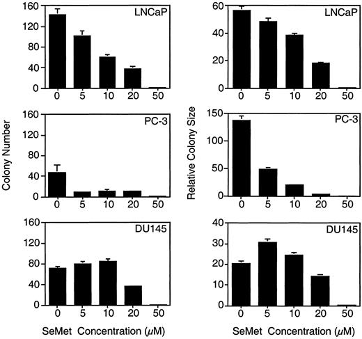 Fig. 5. The effect of selenium treatment on growth in soft agar was examined to evaluate the drug effects on anchorage-independent growth. Once the image is digitally acquired, the IPLabs program is used to perform segmentation and colony-size analysis. The data demonstrate the effect of selenium in inhibiting the numbers of total colonies formed from single-cell clones (left column) and colony size in pixels × 1000 (right column). These data were represented as the means of observations on three wells of a six-well plate; bars, SD. Two independent experiments were performed and provided similar results.