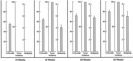 Fig. 3. Histogram panels comparing the image tile parameter, %TG>4SD, with Tumor Incidence and Tumor Multiplicity (number of papillomas/tumor-bearing animal) from the 10th to 25th week after initiation of the NMBA regimen of 0.5 mg/kg s.c. three times per week for 5 weeks. Twenty-two rats were sacrificed at each time point for each measurement of tumor incidence, tumor multiplicity, and %TG>4SD. At 10 weeks, no grossly visible papillomas had yet begun to develop,whereas the %TG>4SD has already reached the relatively high value of 52 percentage points.