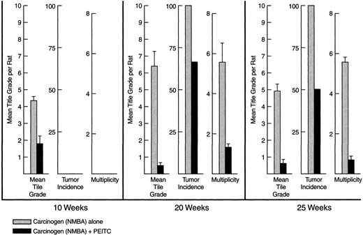 Fig. 4. Histograms comparing the tumor-suppressive effect of placing the chemopreventive PEITC in the diet on the MTG, Tumor Incidence,and Tumor Multiplicity. ▒, rats treated with NMBA alone (six rats/time point). ▪, effect of PEITC.