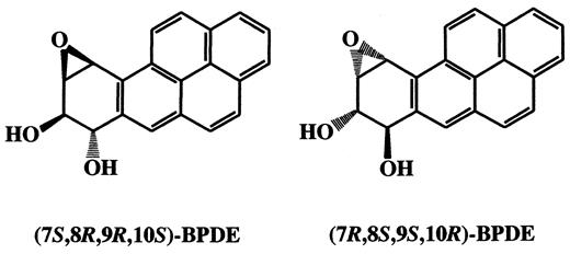 Fig. 1. Structures of the(7S,8R,9R,10S)and(7R,8S,9S,10R)enantiomers of BPDE.