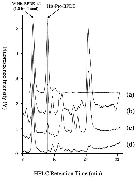 Fig. 3. Comparison of three HSA samples with synthetic standards prepared and analyzed as described. A 1.0 fmol total injection of synthetically prepared Nπ-H-BPDE and HP-BPDE standard(a) is compared with sample 31141 (b),which had 0.35 fmol(7S,8R,9R,10S)-BPDE adducts/mg of serum albumin; sample 31050 (c), which had 0.14 fmol(7S,8R,9R,10S)-BPDE adducts/mg of serum albumin; and sample 32833 (d), which had an undetectable level of(7S,8R,9R,10S)-BPDE serum albumin adducts.