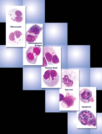 Issue cover image