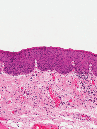 Issue cover image