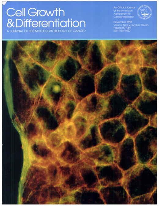 Identification of a novel mechanism of regulation of the adherens