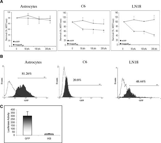 Fig. 3. Effects of IκB super-repressor encoding adenoviruses on rat astrocyte, C6, and LN18 cell survival. A, survival of rat astrocytes, LN18 cells, and C6 cells infected with increasing doses of replication-deficient adenoviruses encoding IκBΔM (♦) or eGFP (▪; control groups). Results were assessed with a trypan blue exclusion test (n = 3; mean ± SD). B, FACS analysis of eGFP expression in astrocytes, C6 cells, and LN18 cells infected with 200 pfu/cell of replication-deficient adenoviruses encoding eGFP. In this experiment, which is representative of two independent experiments, 81.26%, 20.8%, and 48.44% of astrocytes, LN18 cells, and C6 cells, respectively, were infected and expressed eGFP. C, NF-κB-driven luciferase reporter gene activity of LN18 cells infected with replication-deficient adenoviruses encoding IκBΔM (200 pfu/cell) or eGFP. Results are expressed as the ratio of luciferase activity to β-galactosidase activity (after cotransfection with a plasmid encoding a NF-κB-driven luciferase gene and a RSV-driven β-galactosidase gene).