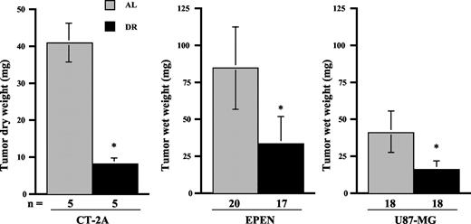 Fig. 1. Influence of DR on the intracerebral growth of experimental brain tumors. DR was initiated 24 h after tumor implantation and continued for 15 days. Values are expressed as means with 95% confidence intervals, and n = the number of tumor-bearing mice examined in each group. The asterisks indicate that the tumor weights of the DR groups were significantly lower than those of the control groups at P < 0.01.