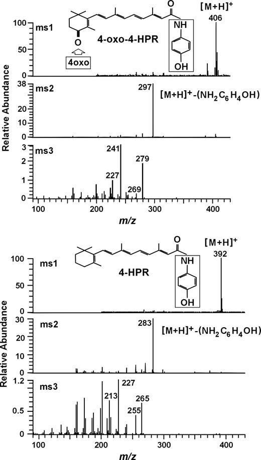 Fig. 1. APCI-MS analysis. Mass spectra (ms) of 4-HPR polar metabolite (top panel) and 4-HPR (bottom panel) extracted from plasma of 4-HPR treated subjects. Spectra were acquired over a range m/z 200–600 (for details, see Materials and Methods).