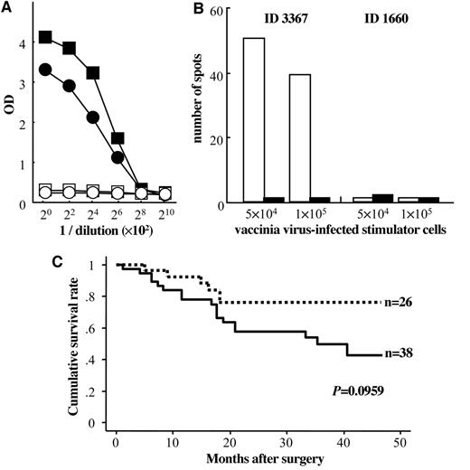 Fig. 4. Immune responses to NY-ESO-1 (A and B) and survival rates of immunohistochemistry positives and negatives (C). In A, ELISA using recombinant NY-ESO-1 protein with sera from ID3367 (▪), ID4782 (•), and ID1660 (□). ○, a healthy donor. In B, the CD8 T-cell response in NY-ESO-1–seropositive patient ID3367. Purified CD8 T cells from PBL were cultured with autologous CD8-depleted PBL infected with adeno/NY-ESO-1 recombinant virus for 10 days for sensitization. Effector cells (5 × 104) were then cultured with 5 × 104 and 1 × 105 autologous CD8-depleted PBL infected with recombinant NY-ESO-1 (□) or wild type (▪) vaccinia virus for 24 hours, and the IFNγ ELISPOT assay was performed. Essentially similar results were obtained in three independent experiments during 2 months. ID1660 was a patient with a tumor not expressing NY-ESO-1 mRNA (for control). In C, survival rates of 26 and 38, respectively, immunohisochemistry positive (dotted line) and immunohistochemistry negative (solid line) patients shown in Table 2<$REFLINK> were analyzed by Kaplan-Meier method. Pair-wise differences were analyzed with the log-rank test.